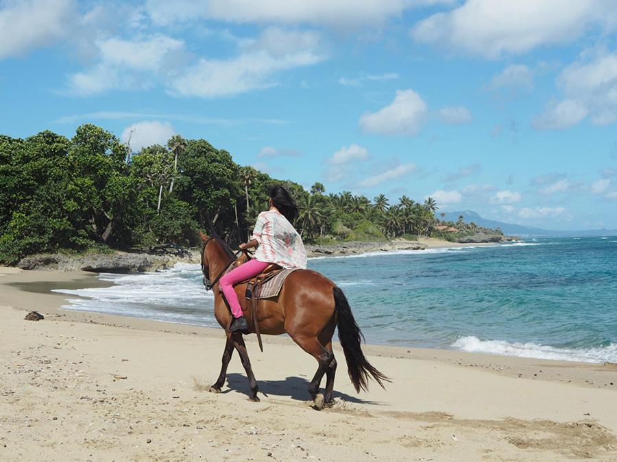 Sea Horse Ranch Βίλα La Mulata Εξωτερικό φωτογραφία
